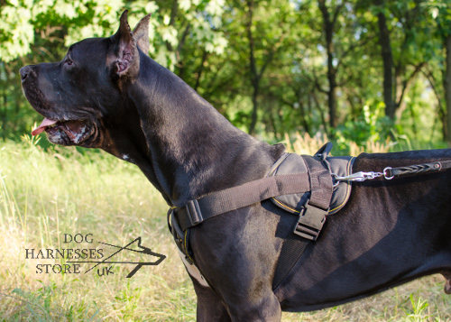 Dog Training Harness Nylon with Padded Chest for Great Dane